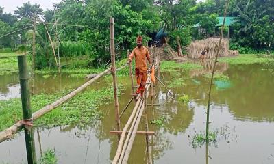 ৩৭ বছর পর বাঁশের সাঁকো: গ্রামবাসীর দুর্ভোগ কমল ব্যক্তিগত উদ্যোগে